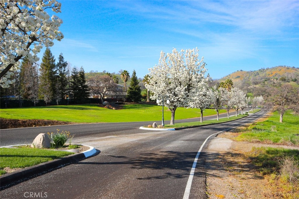 3212 Silver Bush Pl, Catheys Valley, CA 95306