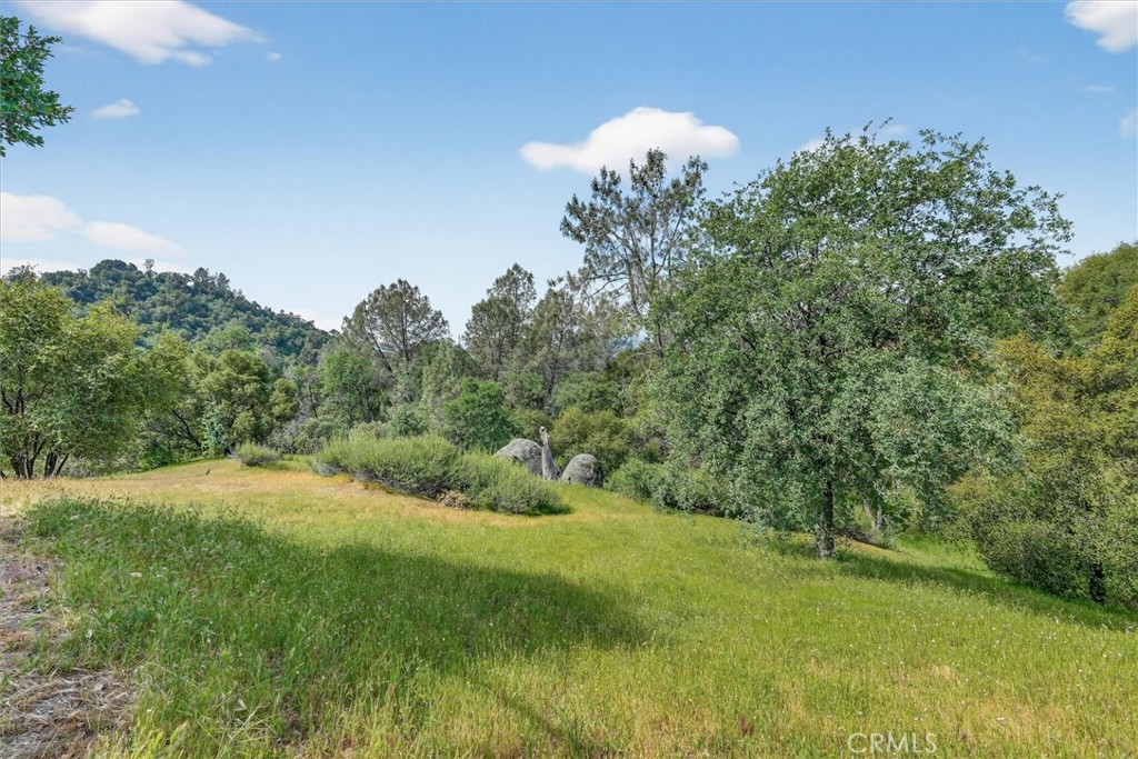 3310 Deer Run, Mariposa, CA 95338