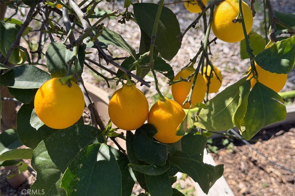 5606 Silver Strand, Mariposa, CA 95338