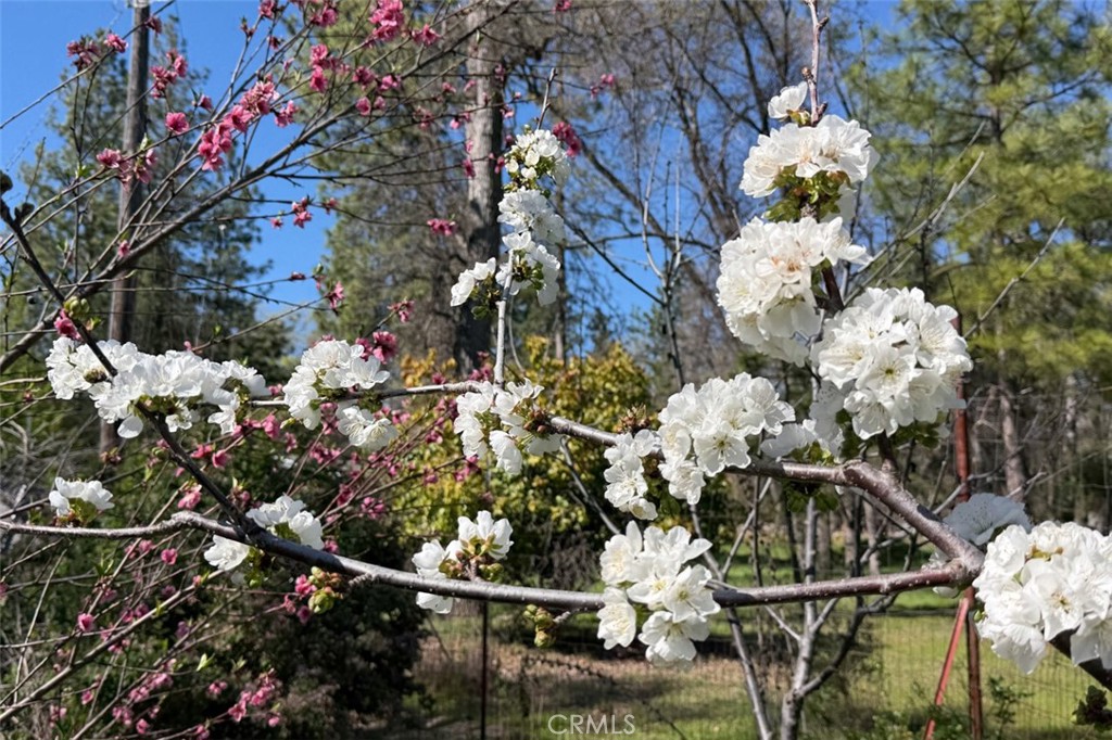 5606 Silver Strand, Mariposa, CA 95338