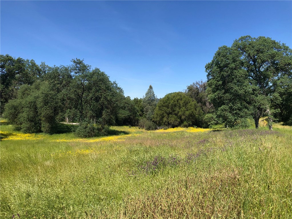 4052 Indian Peak Rd, Mariposa, CA 95338