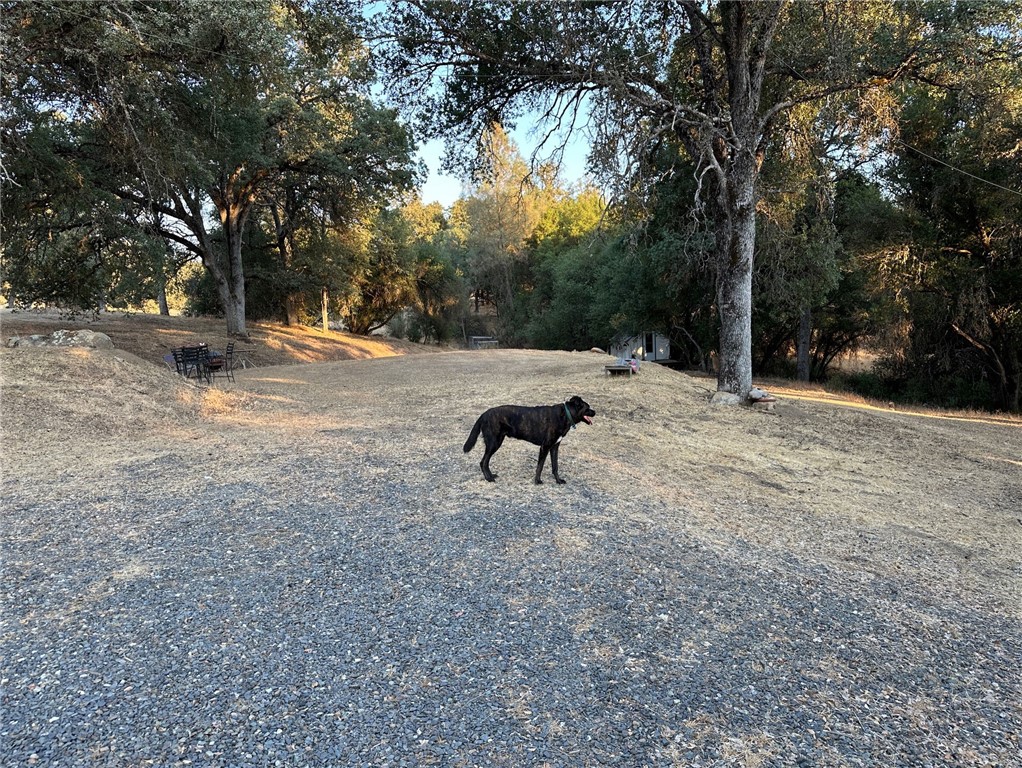 4052 Indian Peak Rd, Mariposa, CA 95338