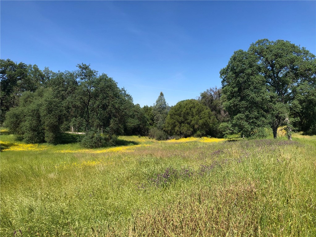 4052 4054 Indian Peak Rd, Mariposa, CA 95338