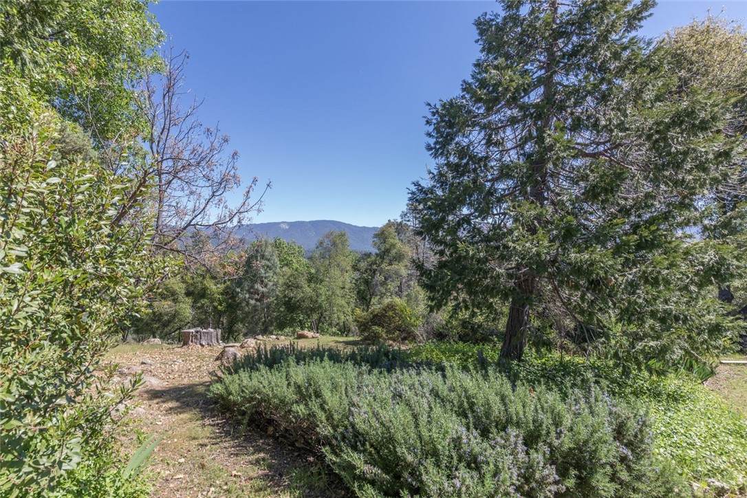 4878 Leonard Rd #3, Mariposa, CA 95338