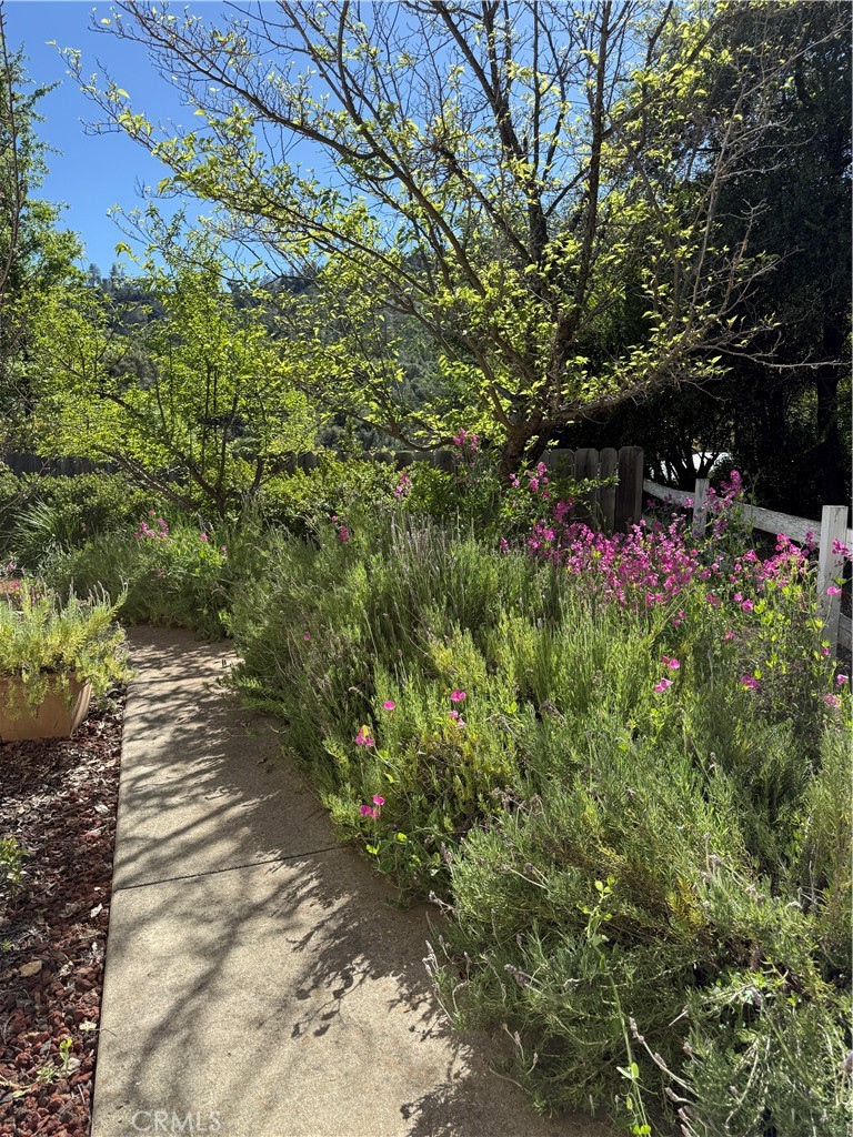 5277 Hwy 49 N. #215, Mariposa, CA 95338