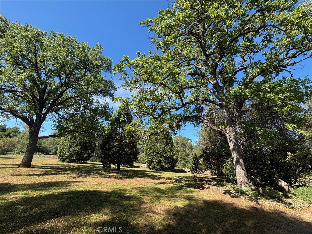 4918 Indian Peak, Mariposa, CA 95338