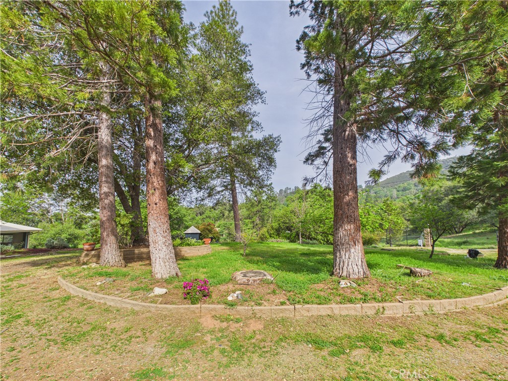 6650 Feliciana Mountain, Midpines, CA 95345
