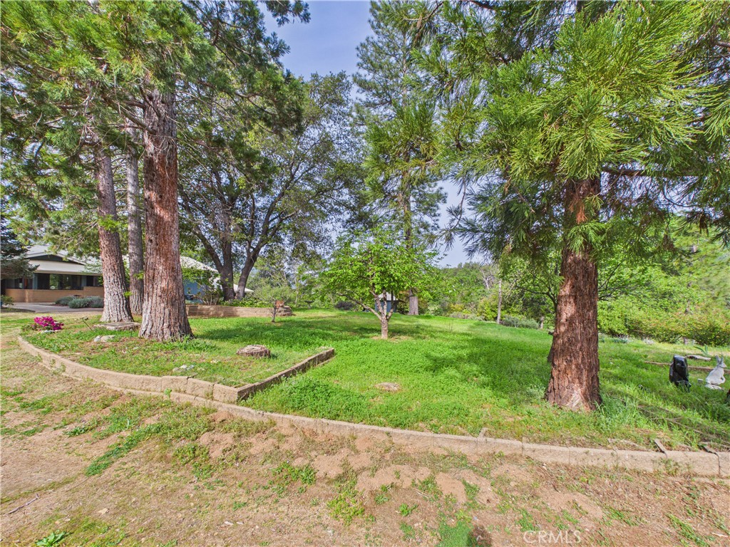 6650 Feliciana Mountain, Midpines, CA 95345