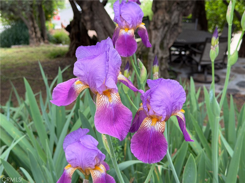 4986 7th St, Mariposa, CA 95338