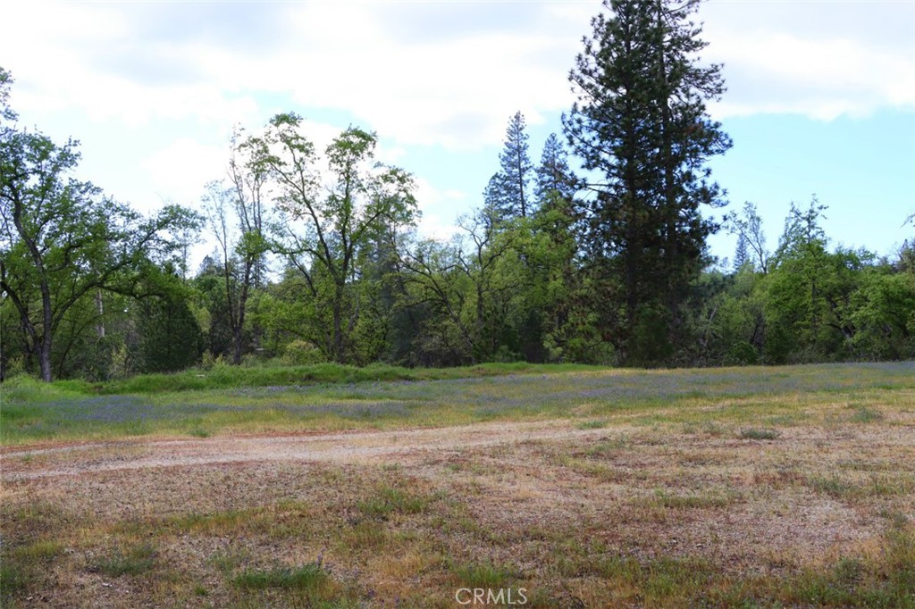 5027 Fox Creek Rd, Mariposa, CA 95338