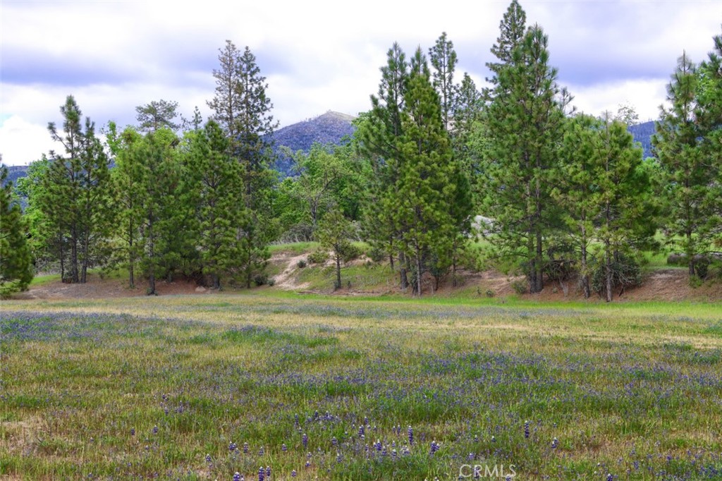 5027 Fox Creek Rd, Mariposa, CA 95338