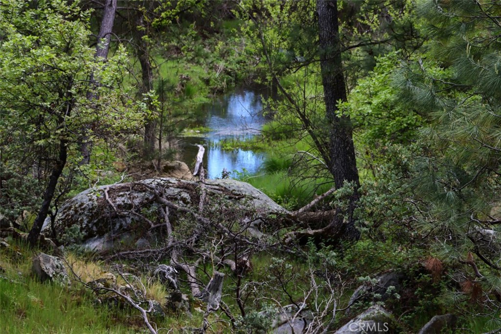 5027 Fox Creek Rd, Mariposa, CA 95338