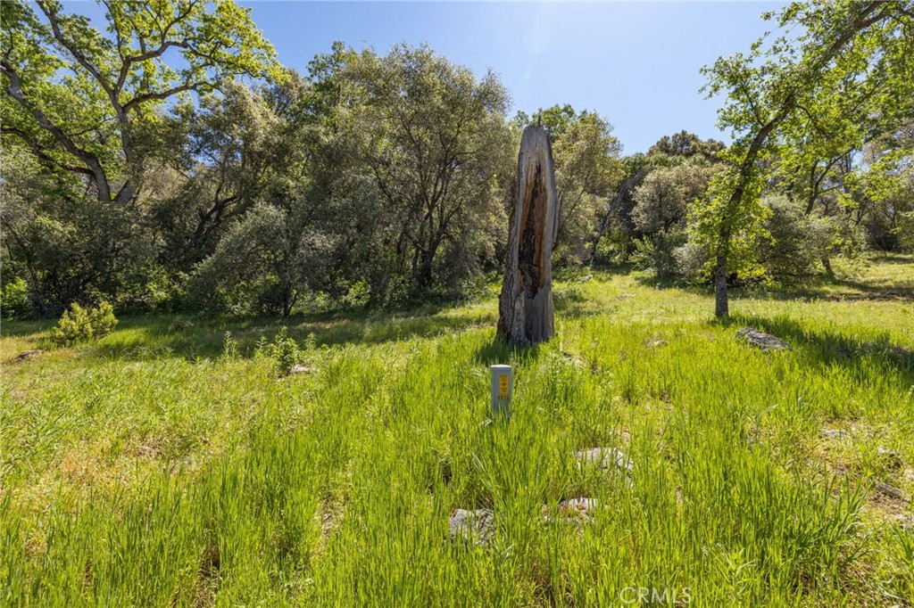 3703 Sherrod, Mariposa, CA 95338