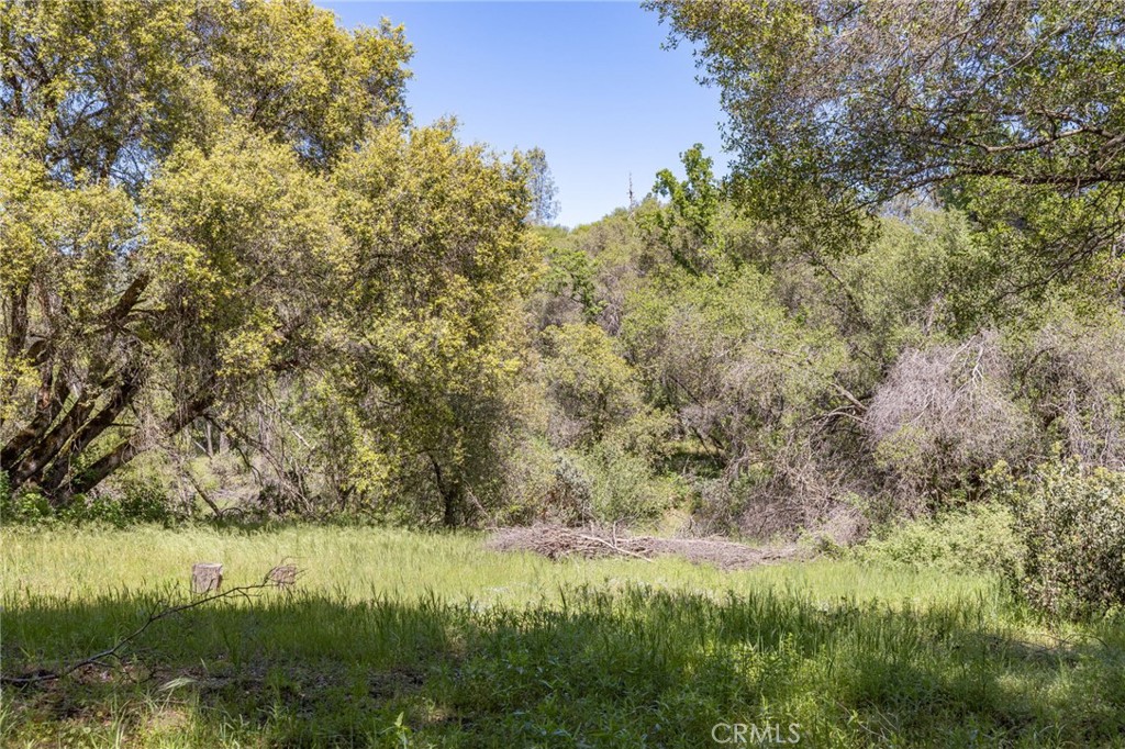 3703 Sherrod, Mariposa, CA 95338