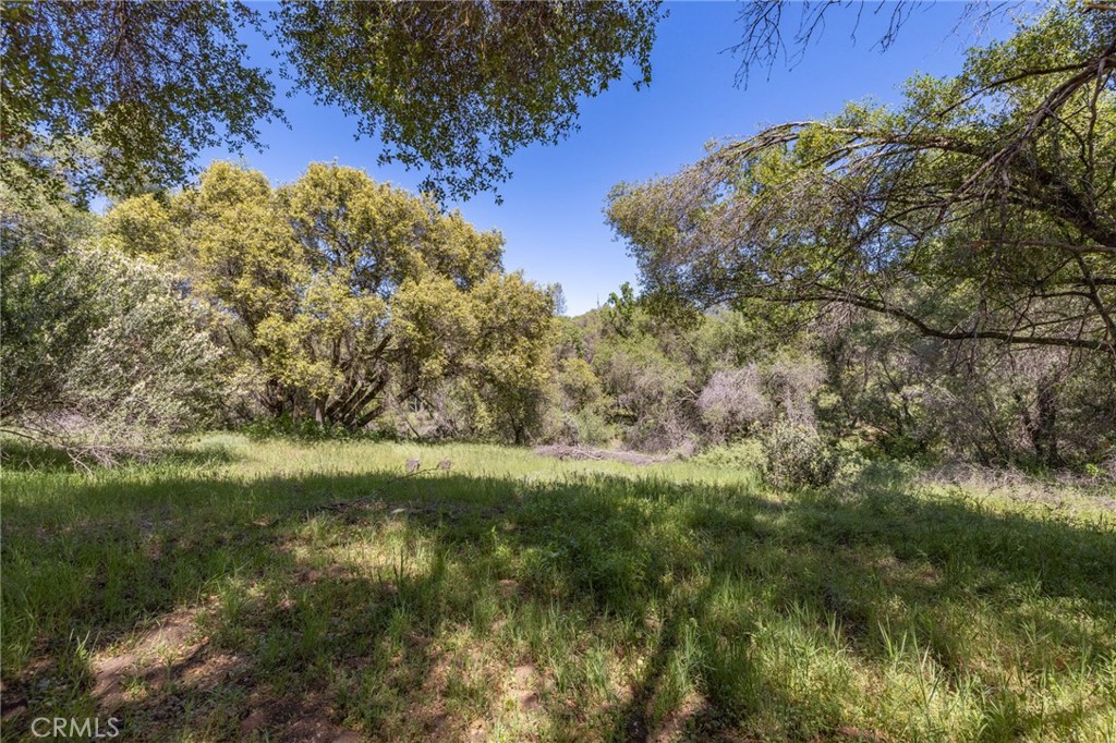 3703 Sherrod, Mariposa, CA 95338