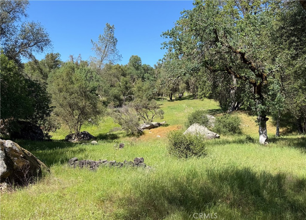 4907 Daffodil Dr, Mariposa, CA 95338