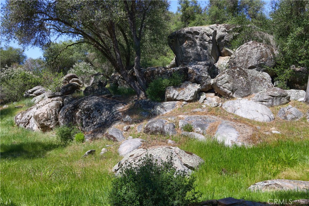 4907 Daffodil Dr, Mariposa, CA 95338