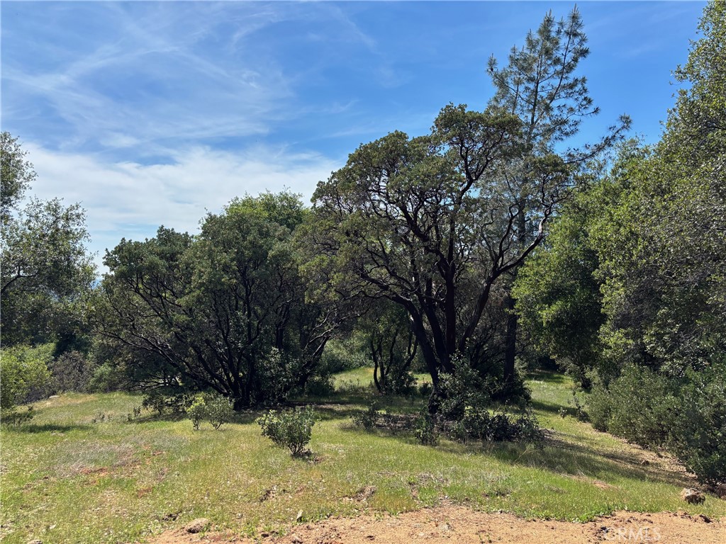 0 Valley View, Mariposa, CA 95338