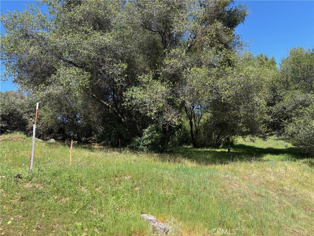 0 Valley View, Mariposa, CA 95338