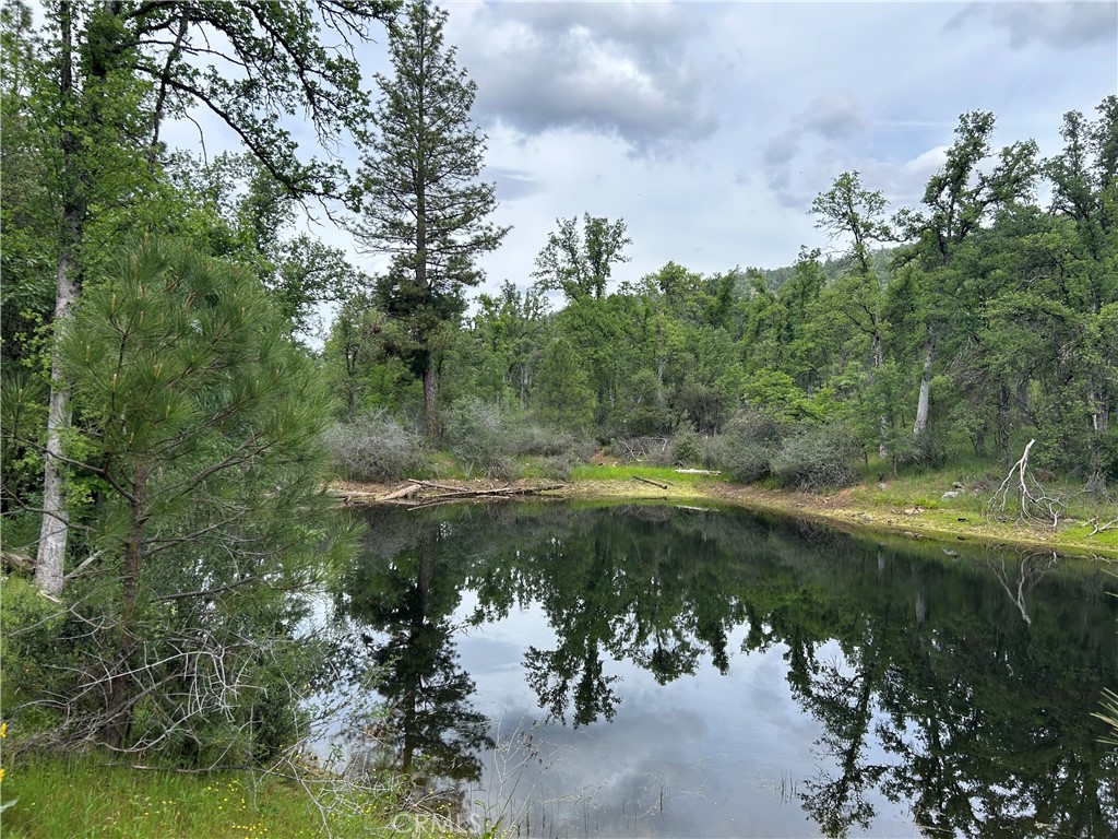 5 Ac Placer Ln, Mariposa, CA 95338