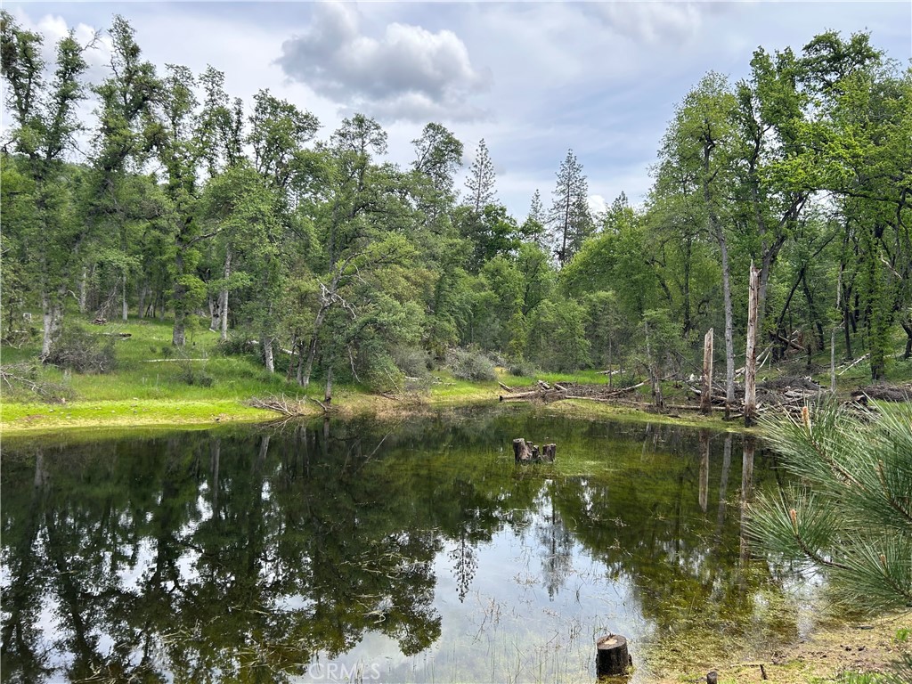 5 Ac Placer Ln, Mariposa, CA 95338