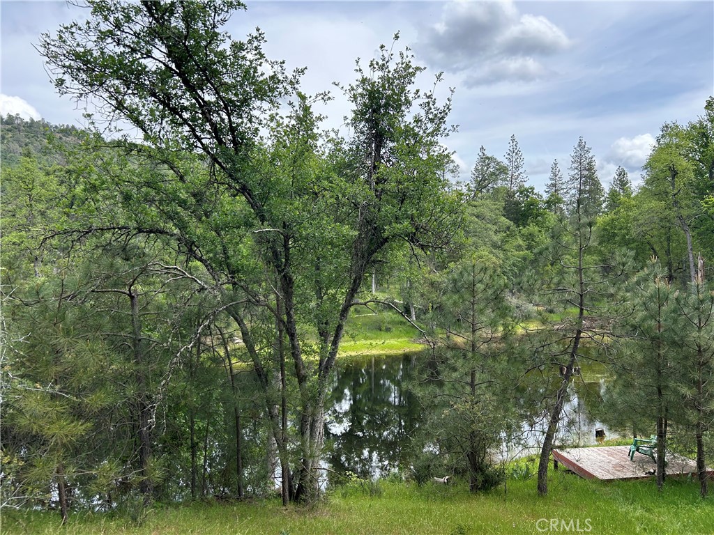 5 Ac Placer Ln, Mariposa, CA 95338