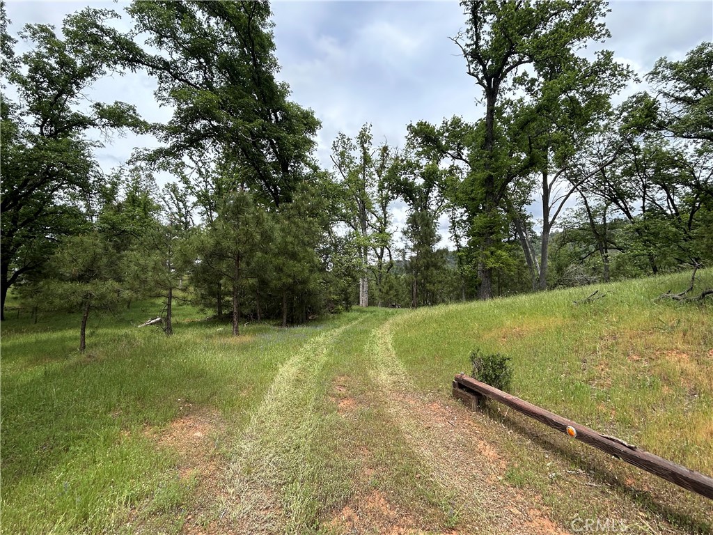 5 Ac Placer Ln, Mariposa, CA 95338