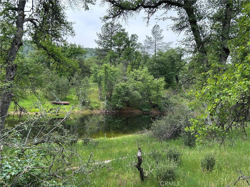 5 Ac Placer Ln, Mariposa, CA 95338