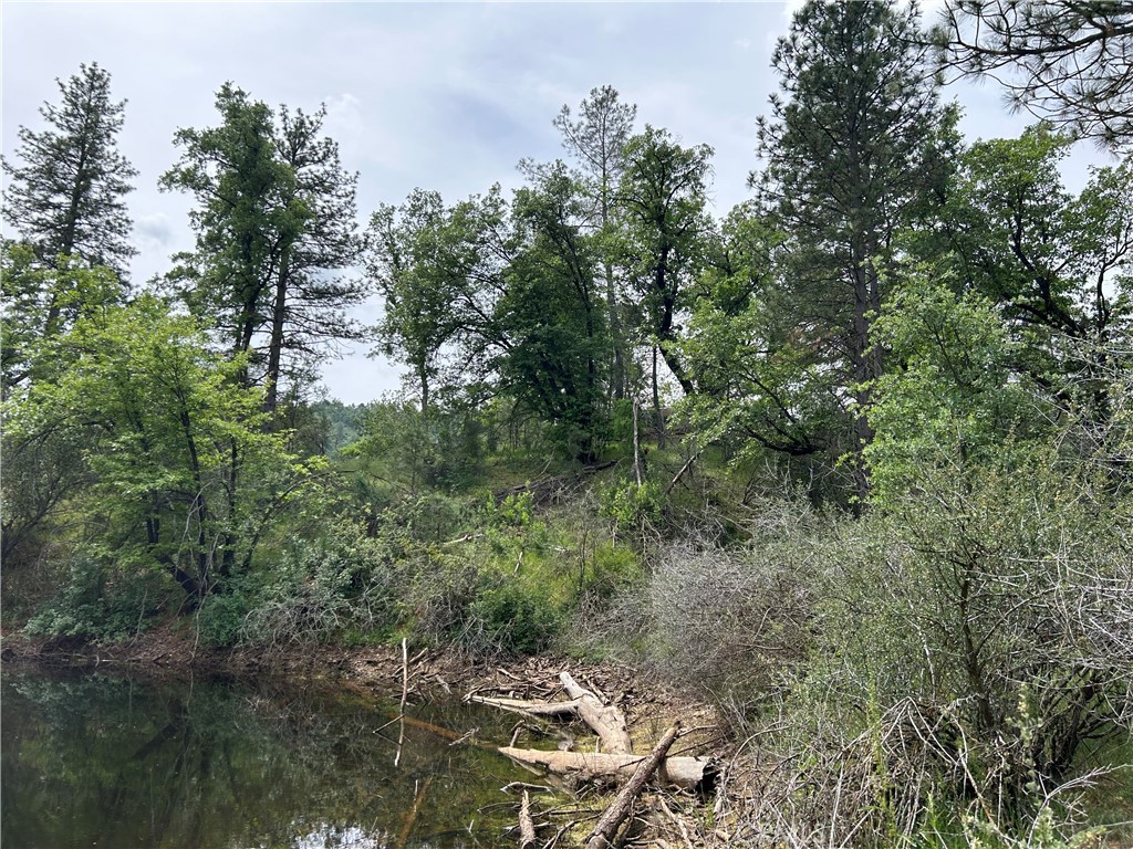 5 Ac Placer Ln, Mariposa, CA 95338