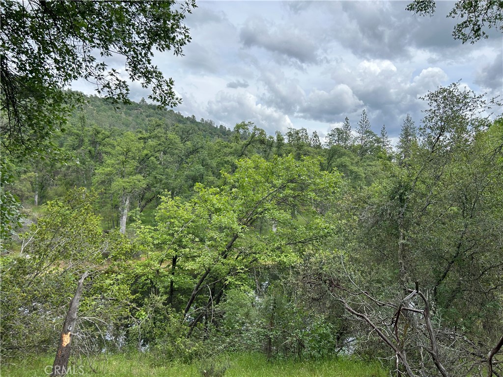 5 Ac Placer Ln, Mariposa, CA 95338