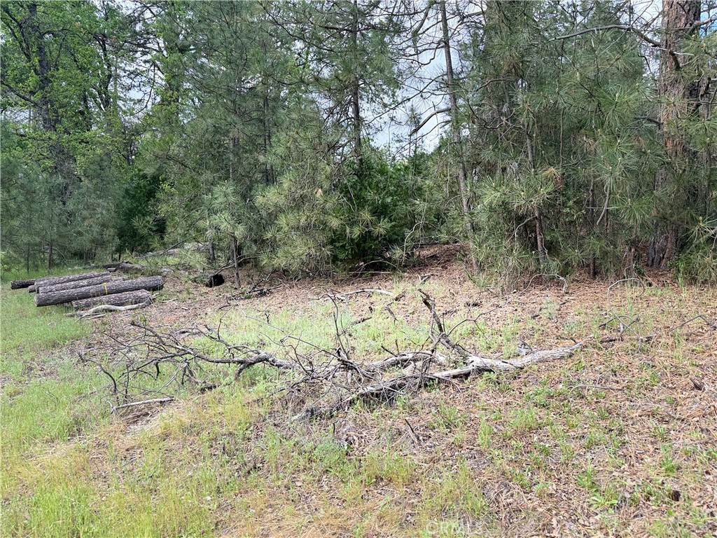 0 Harris Rd, Mariposa, CA 95338