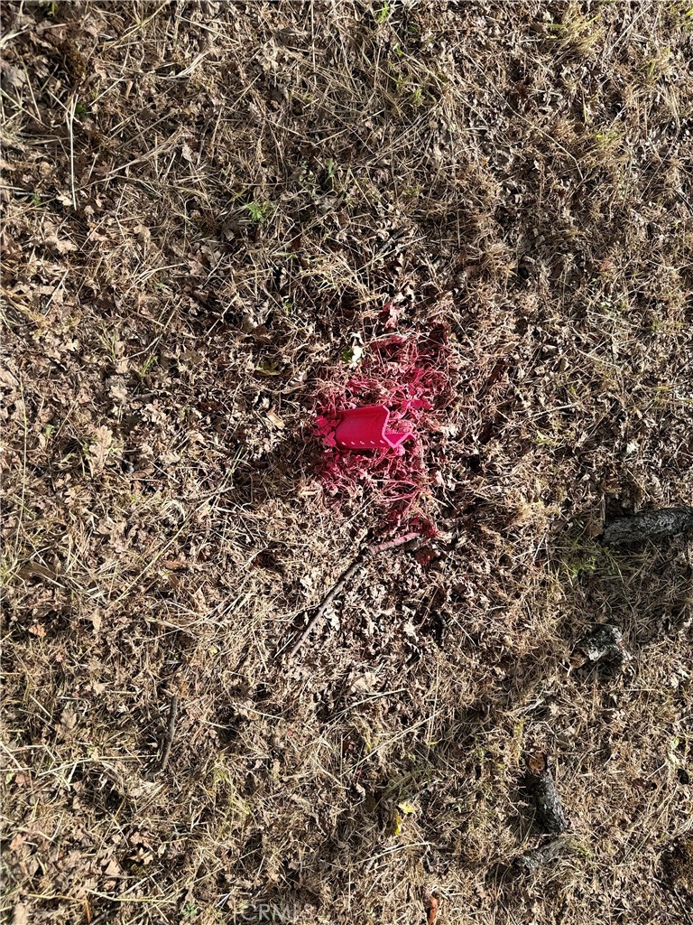 0 Harris Rd, Mariposa, CA 95338