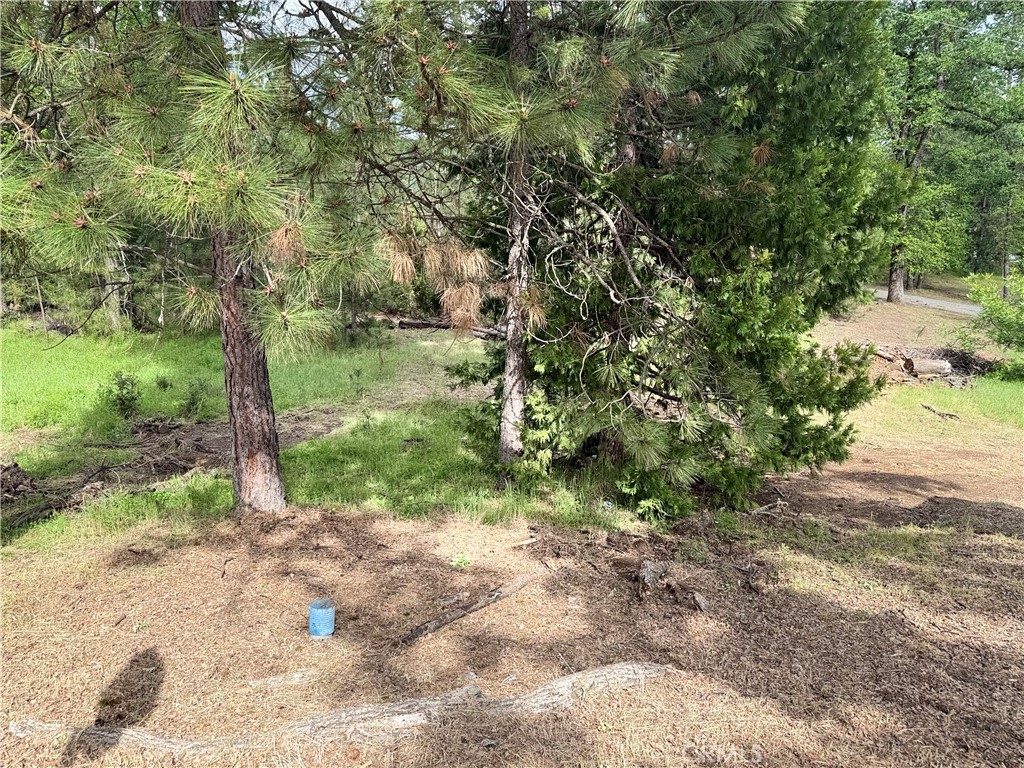 0 Harris Rd, Mariposa, CA 95338