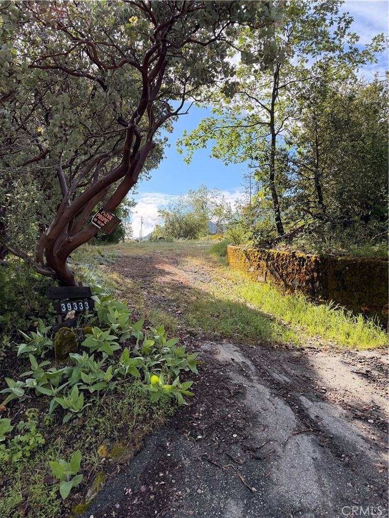 39333 Manzanita Dr, Oakhurst, CA 93644