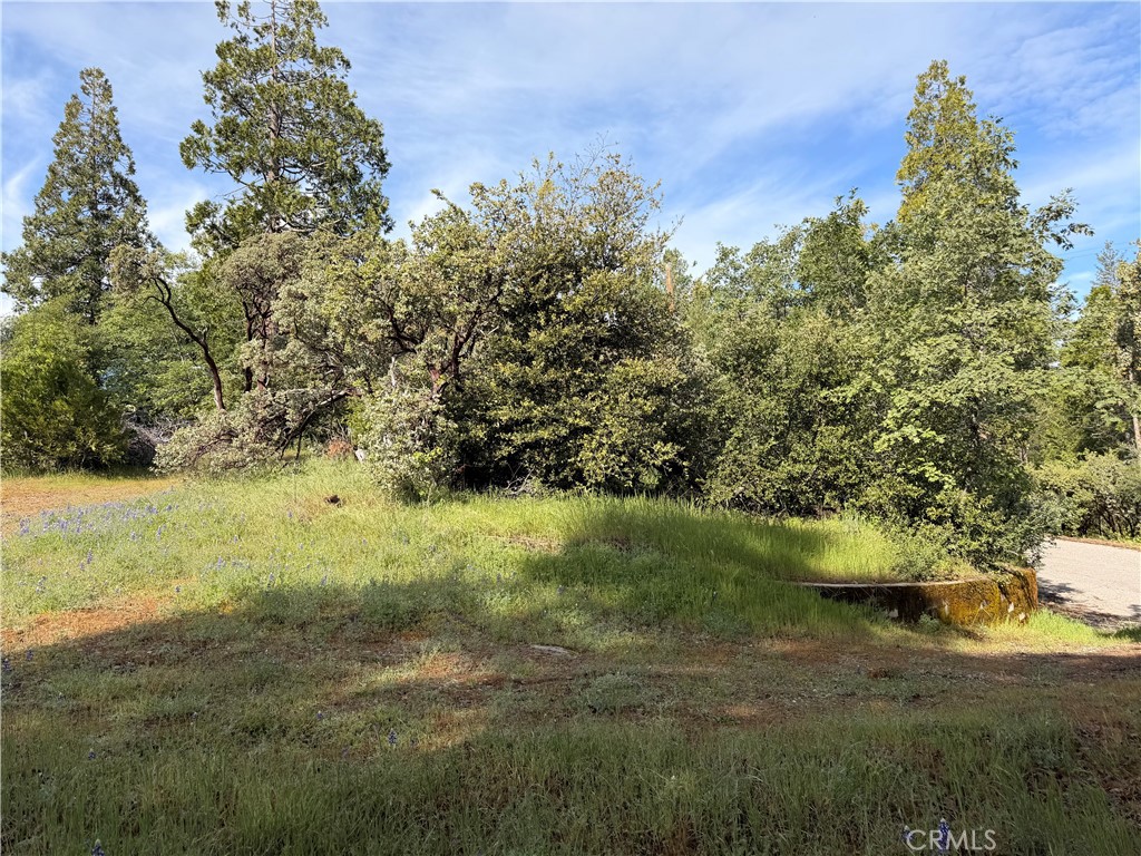 39333 Manzanita Dr, Oakhurst, CA 93644