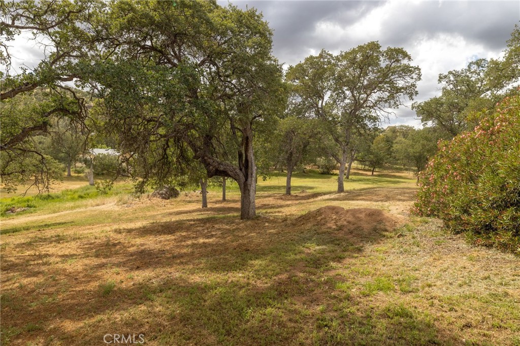 41856 Horseshoe Way, Coarsegold, CA 93614