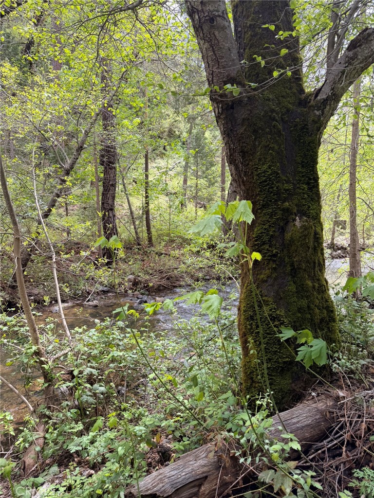 39 Anderson Valley Rd, Coulterville, CA 95311