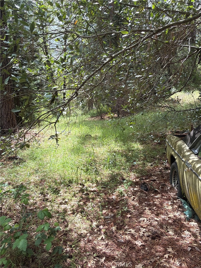 39 Anderson Valley Rd, Coulterville, CA 95311