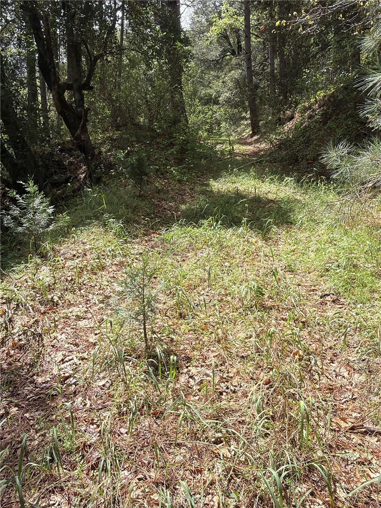 39 Anderson Valley Rd, Coulterville, CA 95311