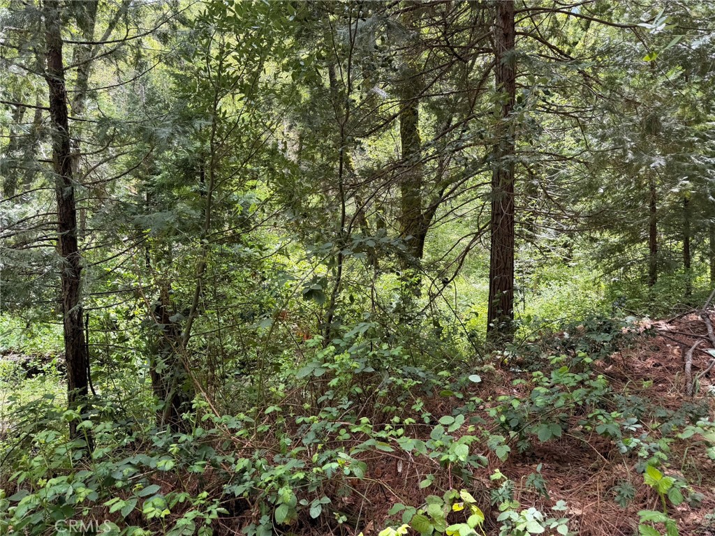 39 Anderson Valley Rd, Coulterville, CA 95311