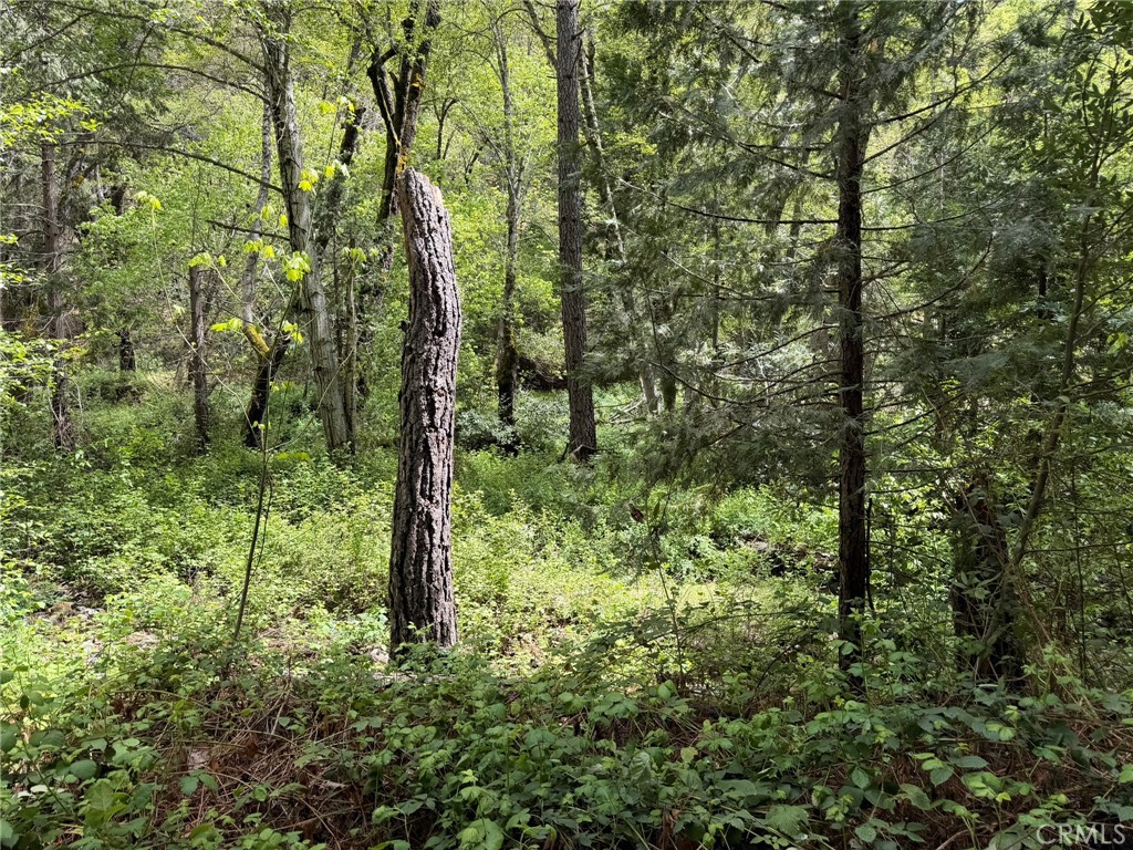 39 Anderson Valley Rd, Coulterville, CA 95311