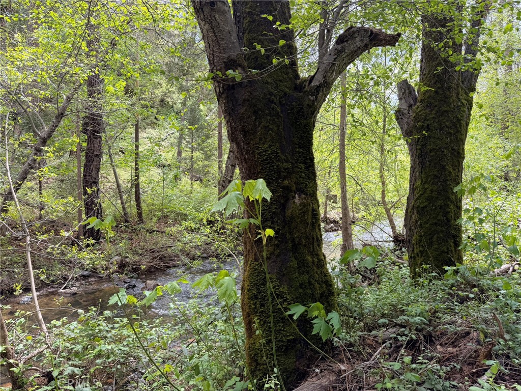 39 Anderson Valley Rd, Coulterville, CA 95311