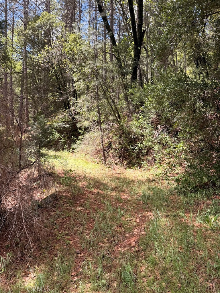 39 Anderson Valley Rd, Coulterville, CA 95311