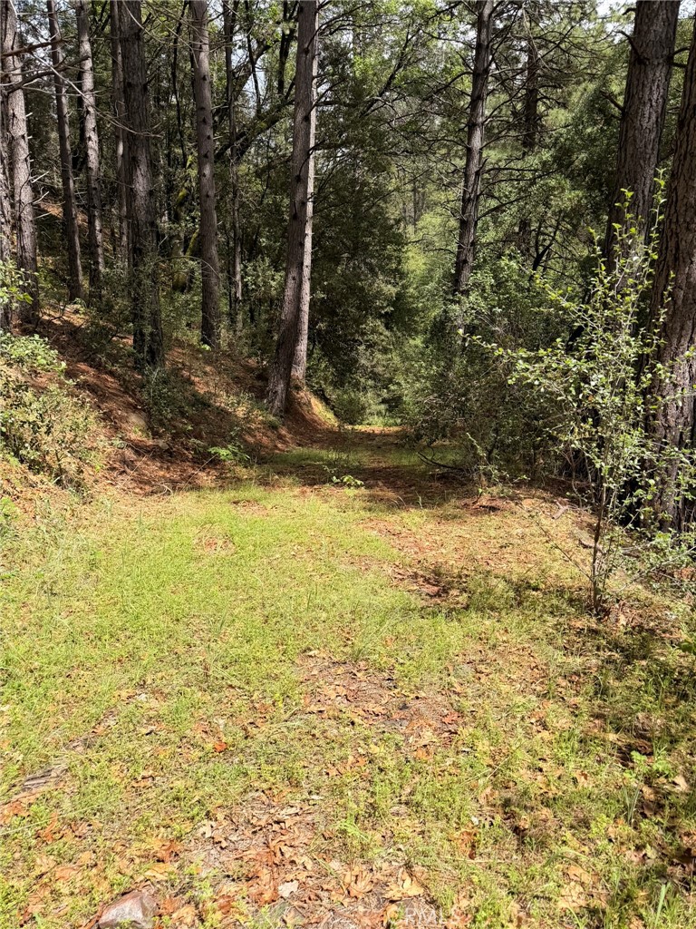 39 Anderson Valley Rd, Coulterville, CA 95311