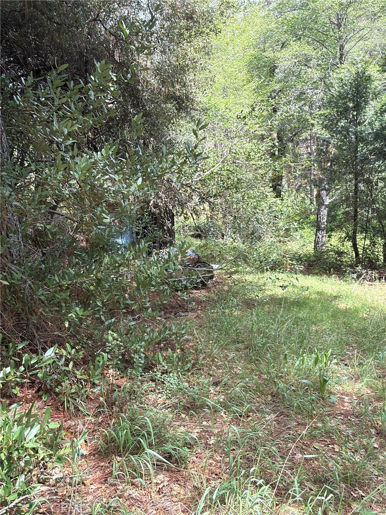 39 Anderson Valley Rd, Coulterville, CA 95311