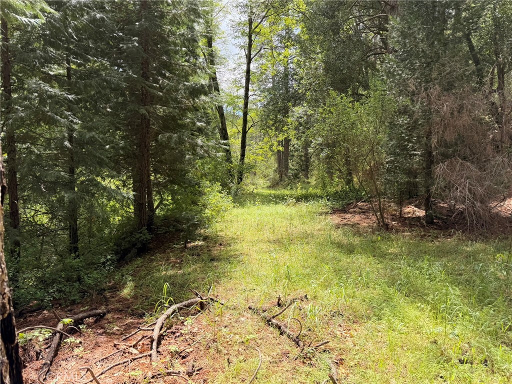 39 Anderson Valley Rd, Coulterville, CA 95311