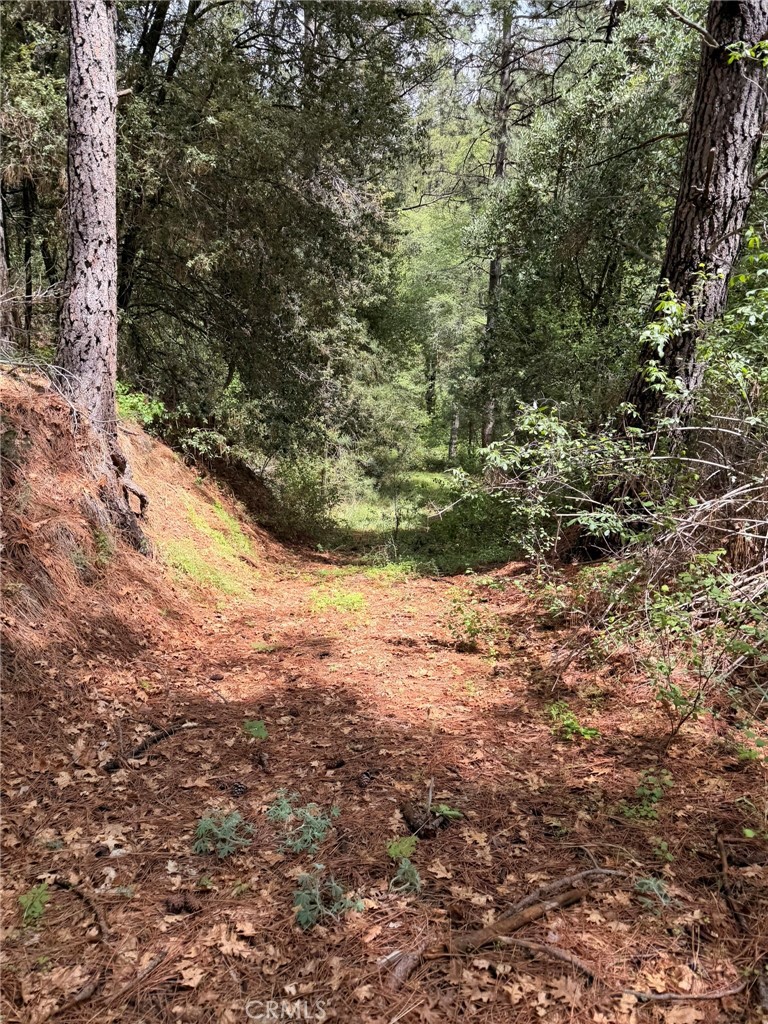 39 Anderson Valley Rd, Coulterville, CA 95311