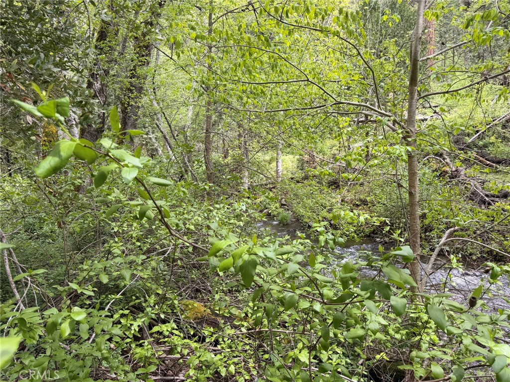 39 Anderson Valley Rd, Coulterville, CA 95311