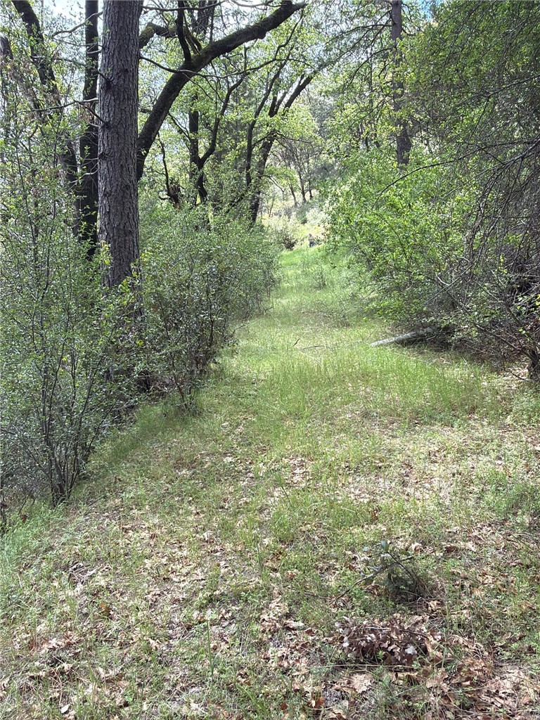 39 Anderson Valley Rd, Coulterville, CA 95311