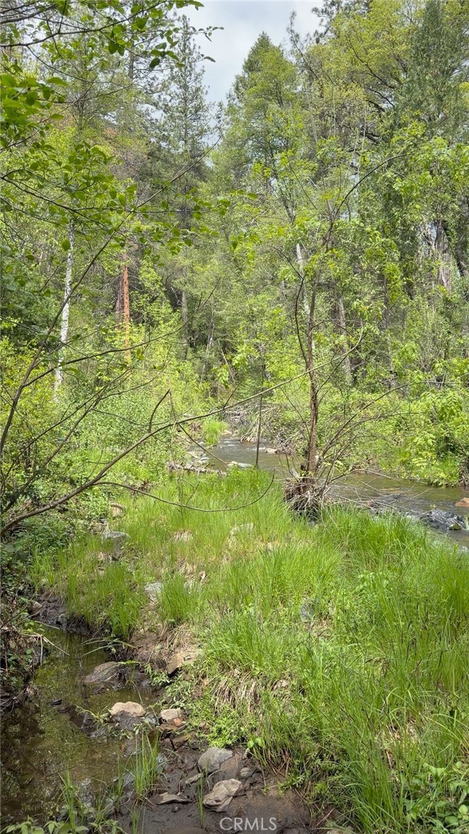 39 Anderson Valley Rd, Coulterville, CA 95311